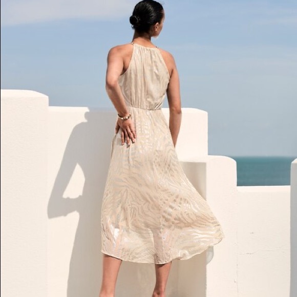 NWT ZEBRA-BURNOUT HIGH-LOW DRESS - Picture 4 of 8